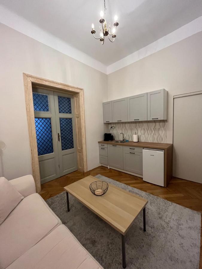 Barty Downtown Apart 2 Temeşvar Dış mekan fotoğraf
