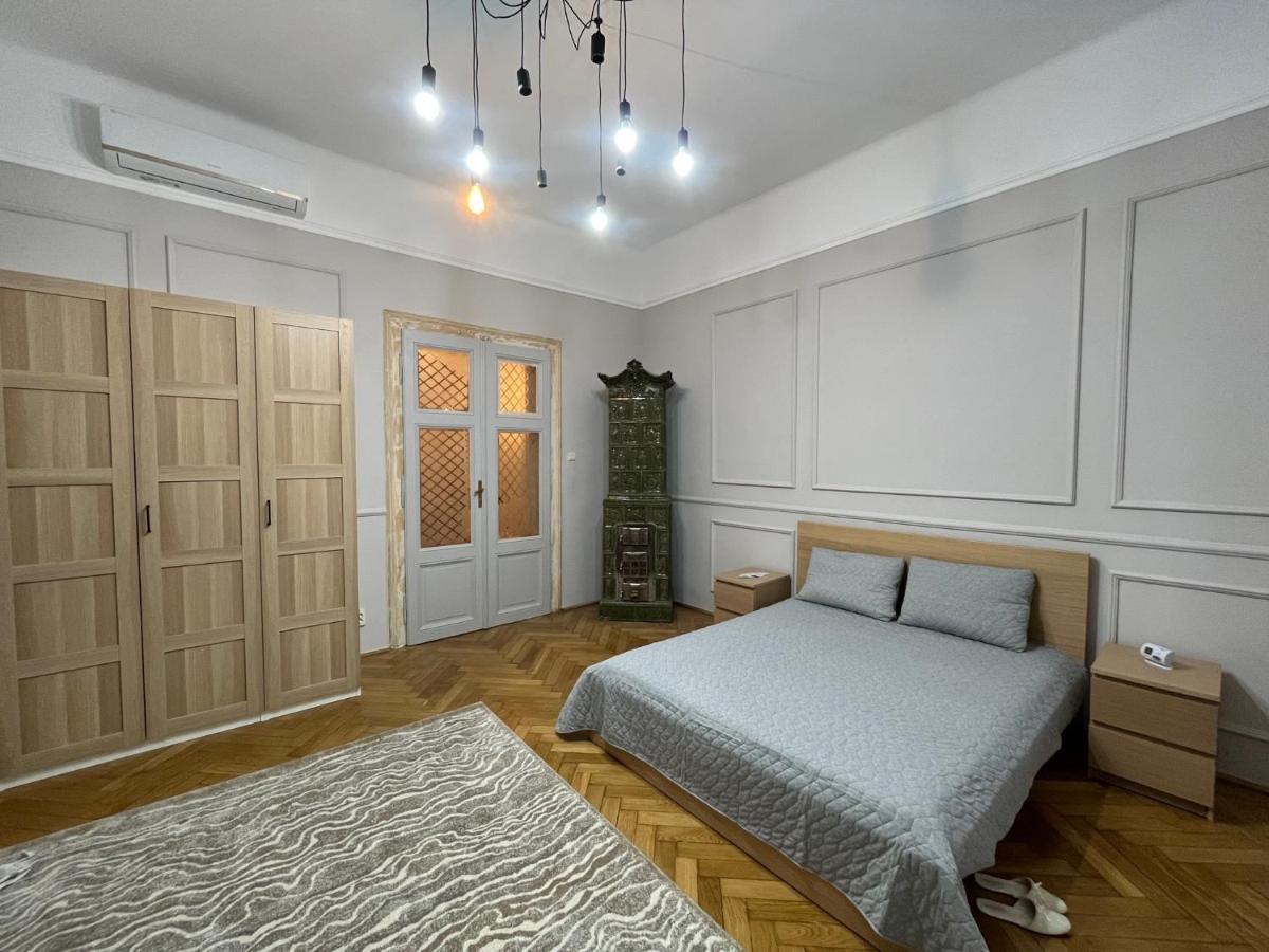 Barty Downtown Apart 2 Temeşvar Dış mekan fotoğraf