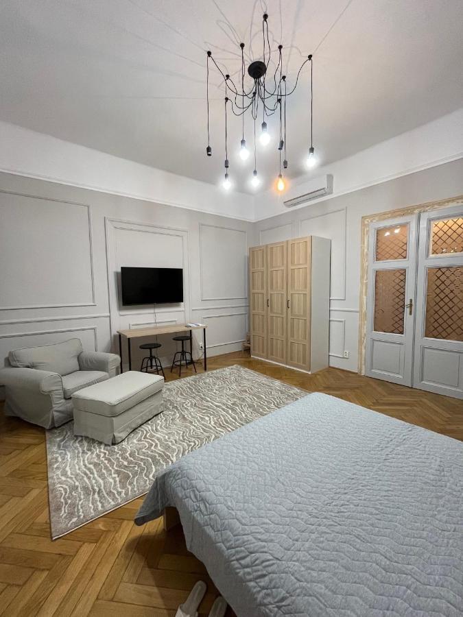 Barty Downtown Apart 2 Temeşvar Dış mekan fotoğraf